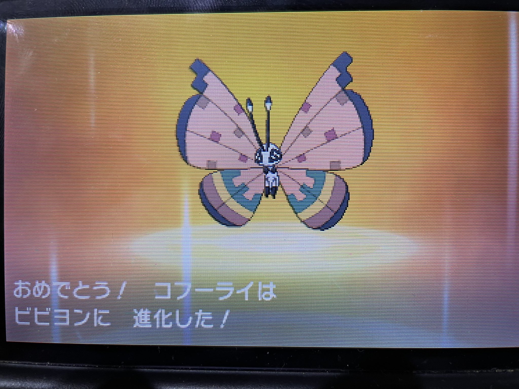 ポケットモンスター ムーン 配信色イーブイ 6.7世代リボンコンプ