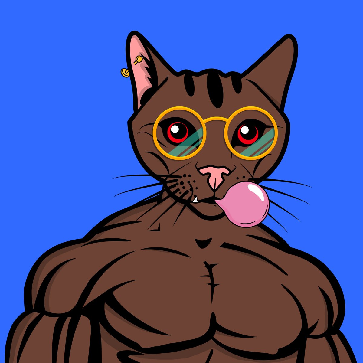 The Fit Cat Club tweet media