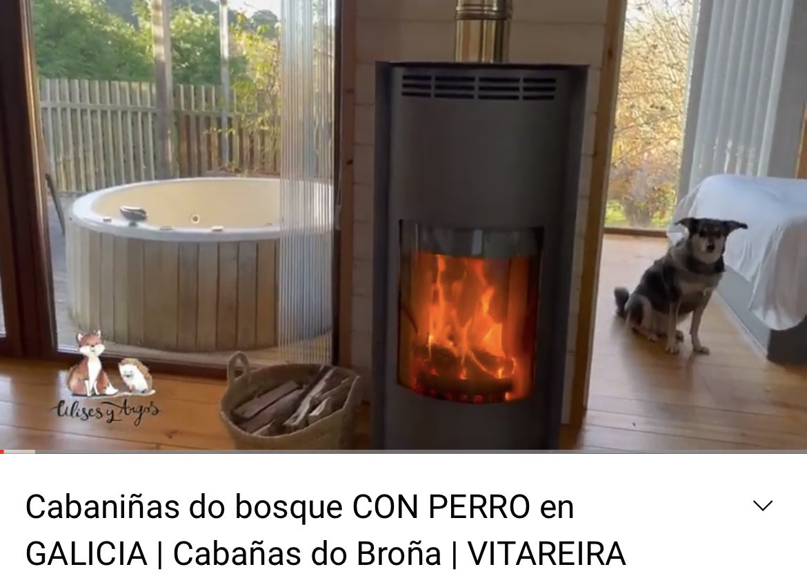 UlisesyArgos's tweet image. 🐶 Nos hemos ido a 𝐥𝐚𝐬 𝐂𝐚𝐛𝐚ñ𝐚𝐬 𝐝𝐨 𝐁𝐫𝐨ñ𝐚. Os 𝐥𝐚𝐬 𝐞𝐧𝐬𝐞ñ𝐚𝐦𝐨𝐬 𝐩𝐨𝐫 𝐝𝐞𝐧𝐭𝐫𝐨 𝐲 𝐨𝐬 𝐜𝐨𝐧𝐭𝐚𝐦𝐨𝐬 cómo de Dog Friendly son👉youtu.be/1PBGfdlrfY8⁣
🐾 ⁣⁣⁣⁣⁣⁣⁣⁣⁣⁣#viajarconperro #viajesconperro #viajesconperros #cabaniñasdobosque #perros