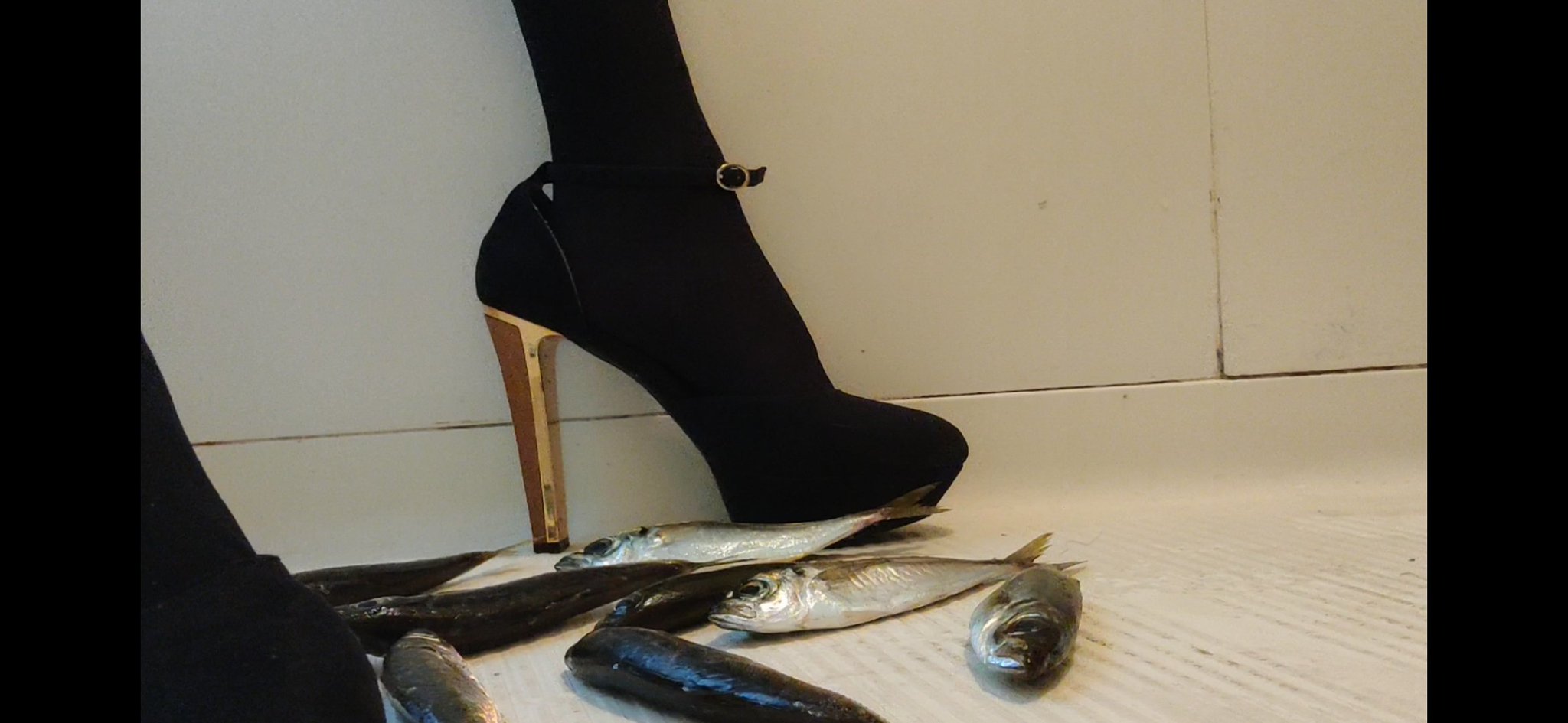 TW Pornstars - 1 foto. まきS女装女王様@Maki CrossdresserFemdomCrush. Twitter.  終始ハァハァしながら 「これが見たかったんでしょ？見せてあげる」 とかいいながらオナニーして射精しちゃいました. 2:41 PM - 26 Feb  2022