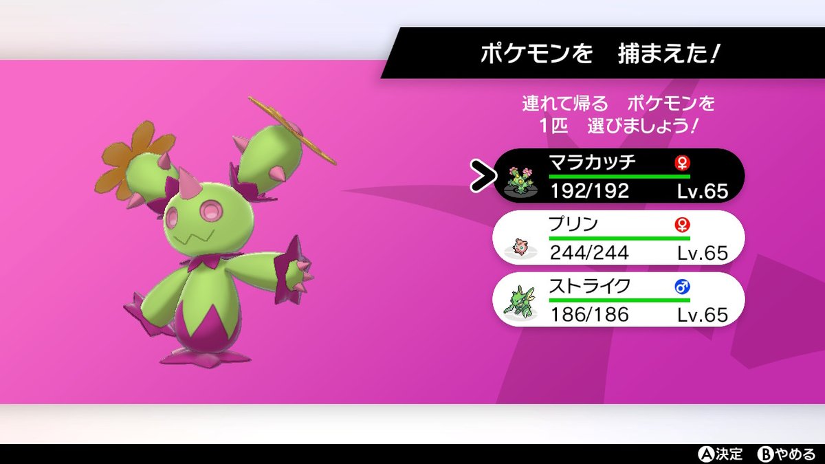 ポケモンgo マラカッチの色違い 入手方法と実装状況 攻略大百科 ポケモンgo マラカッチの色違い 入手方法と実装状況 攻略大百科
