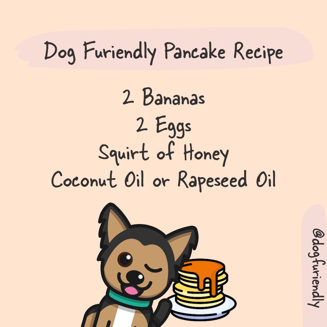 Get ready to make your doggo pancakes on #pancakeday! 
👇
1. Mash bananas 🍌🍌
2. Mix in 2 eggs 🥚🥚
3. Add a squirt of honey 🍯
4. Grease your pan 🍳
5. Fry &amp; flip 🔥
6. Cool &amp; Serve 🐶

For topping ideas and more tips click here 👉 houndy.dogfuriendly.com/dog-furiendly-…

#twitterdogcommunity