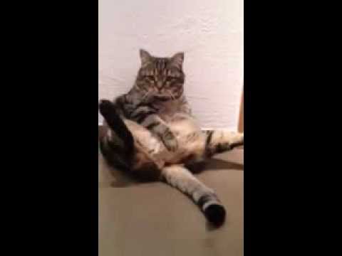 cpaul512's tweet image. #firstpull