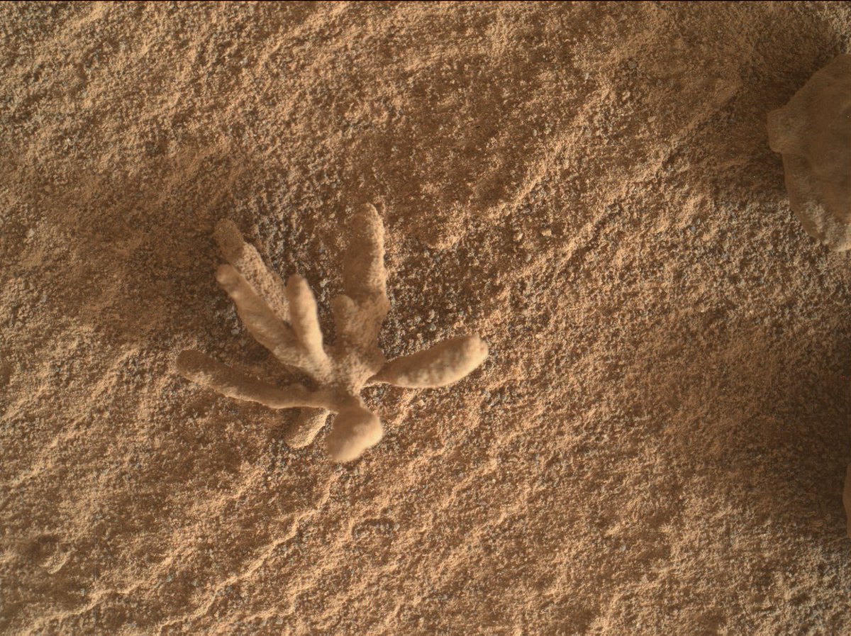 NASA’s Curiosity rover has taken this fascinating image of a rock on Mars.