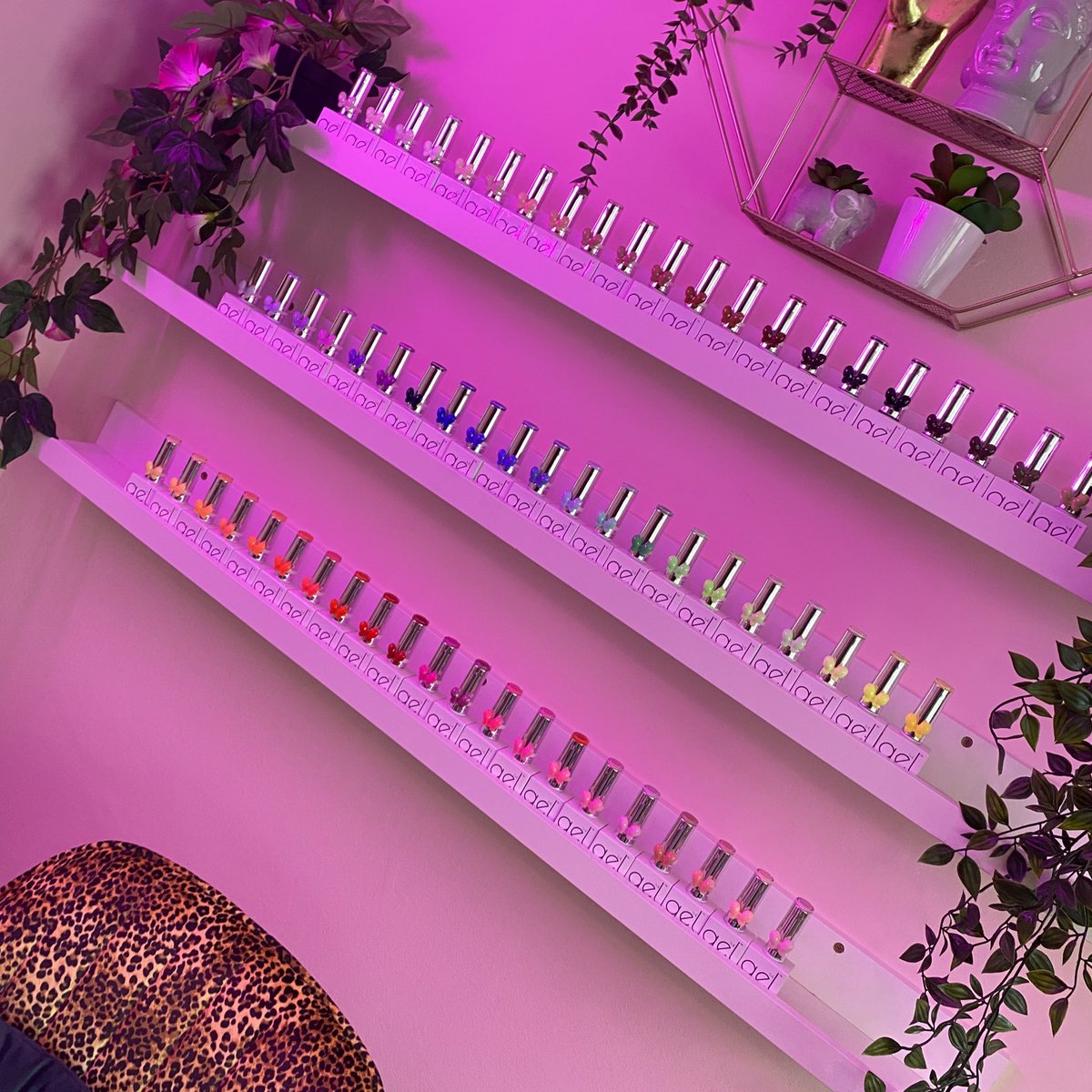 Layla🧞‍♀️ tweet media