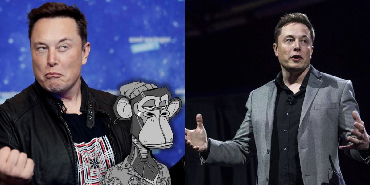 quanta0x's tweet photo. Elon Musk Rumored to Buy Bored Ape NFT Worth 569 Ethereum
https://t.co/34sMdscTdX https://t.co/UrD8lvyeXz