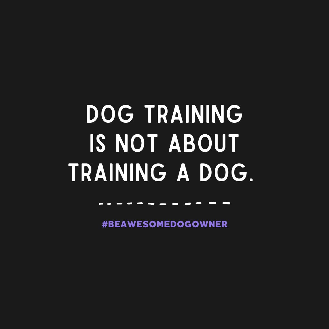 Noora Keskievari 🐶 tweet media