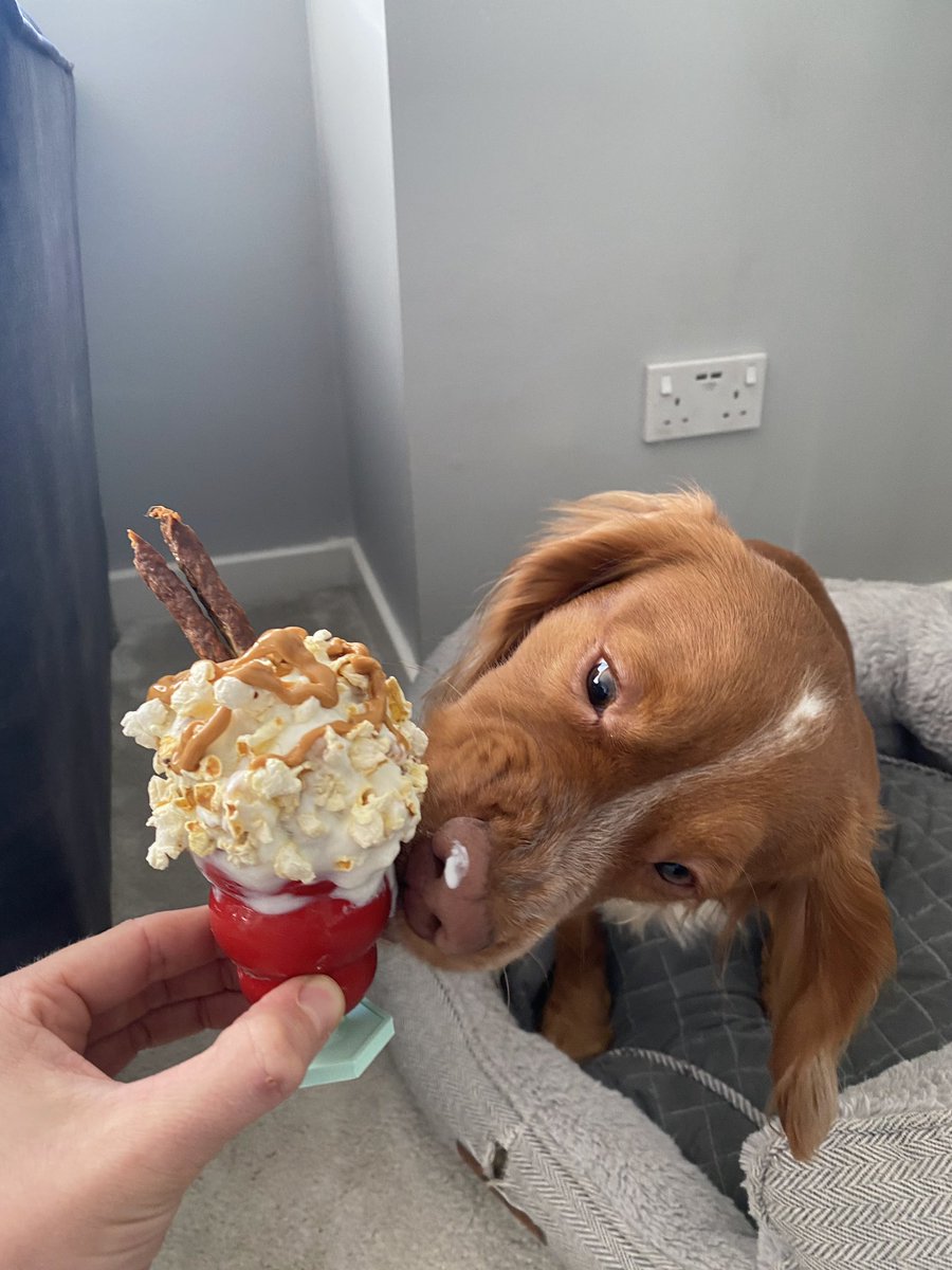 Let’s spread some love on the #twitterdogcommunity 15% off site wide* when using code TWITTERDOGCOMMUNITY 🙌🏻Website in the Bio 🥰
This weekend only. *Not including west paw bundle. #dogsoftwitter #topploftwitter