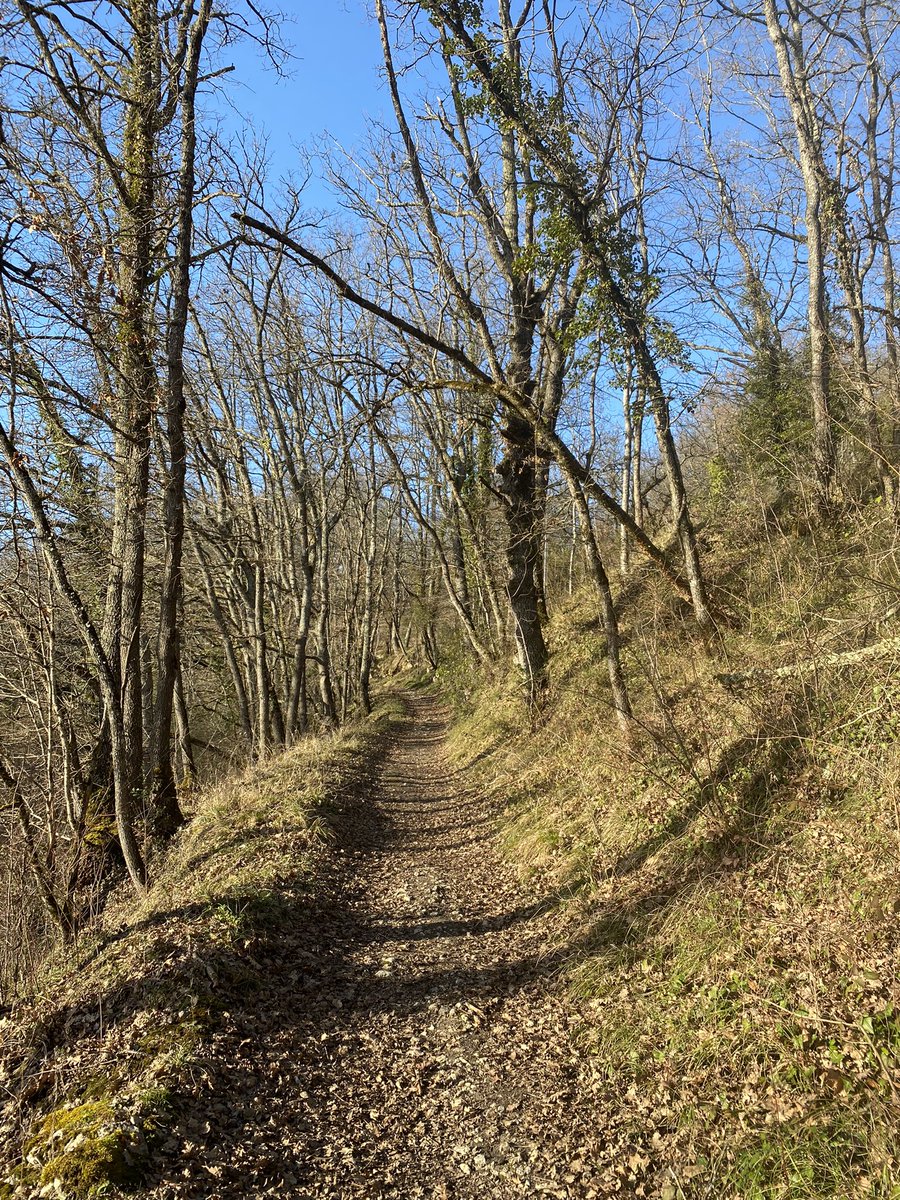 MARKdierenarts tweet media