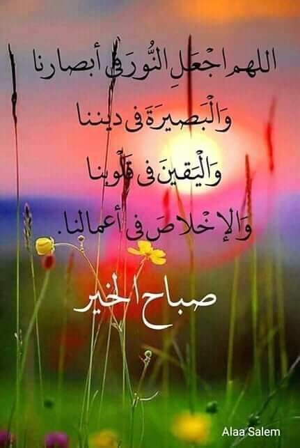 ali marey (@alimare98760496) on Twitter photo 