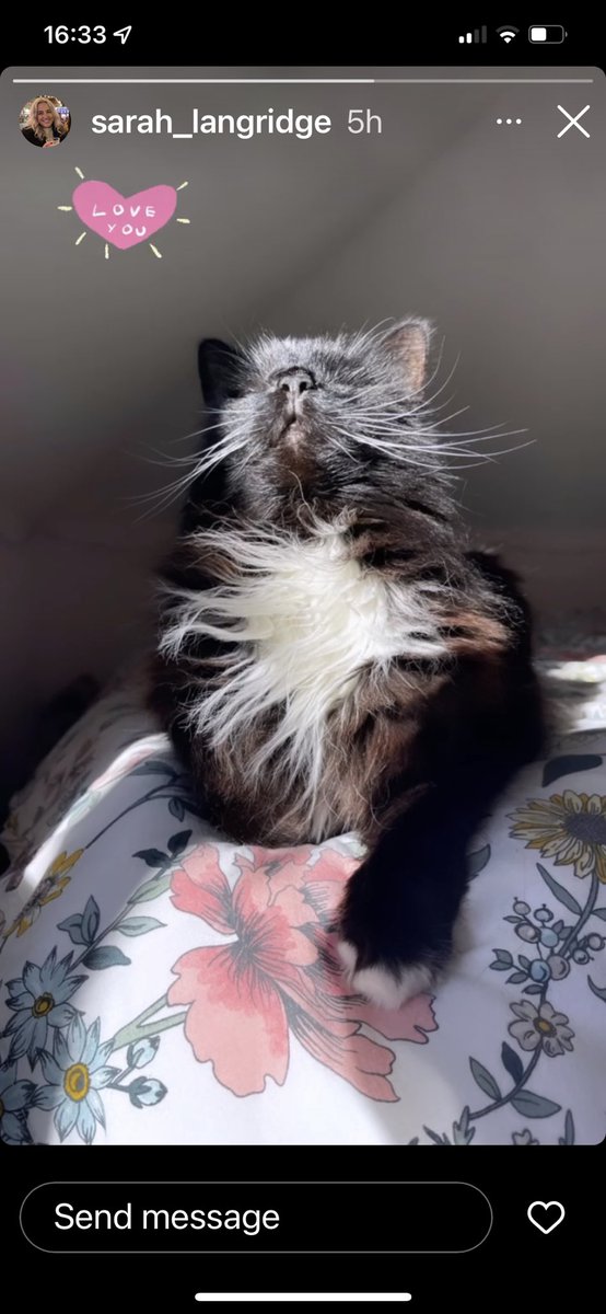 lorraine langridge tweet media