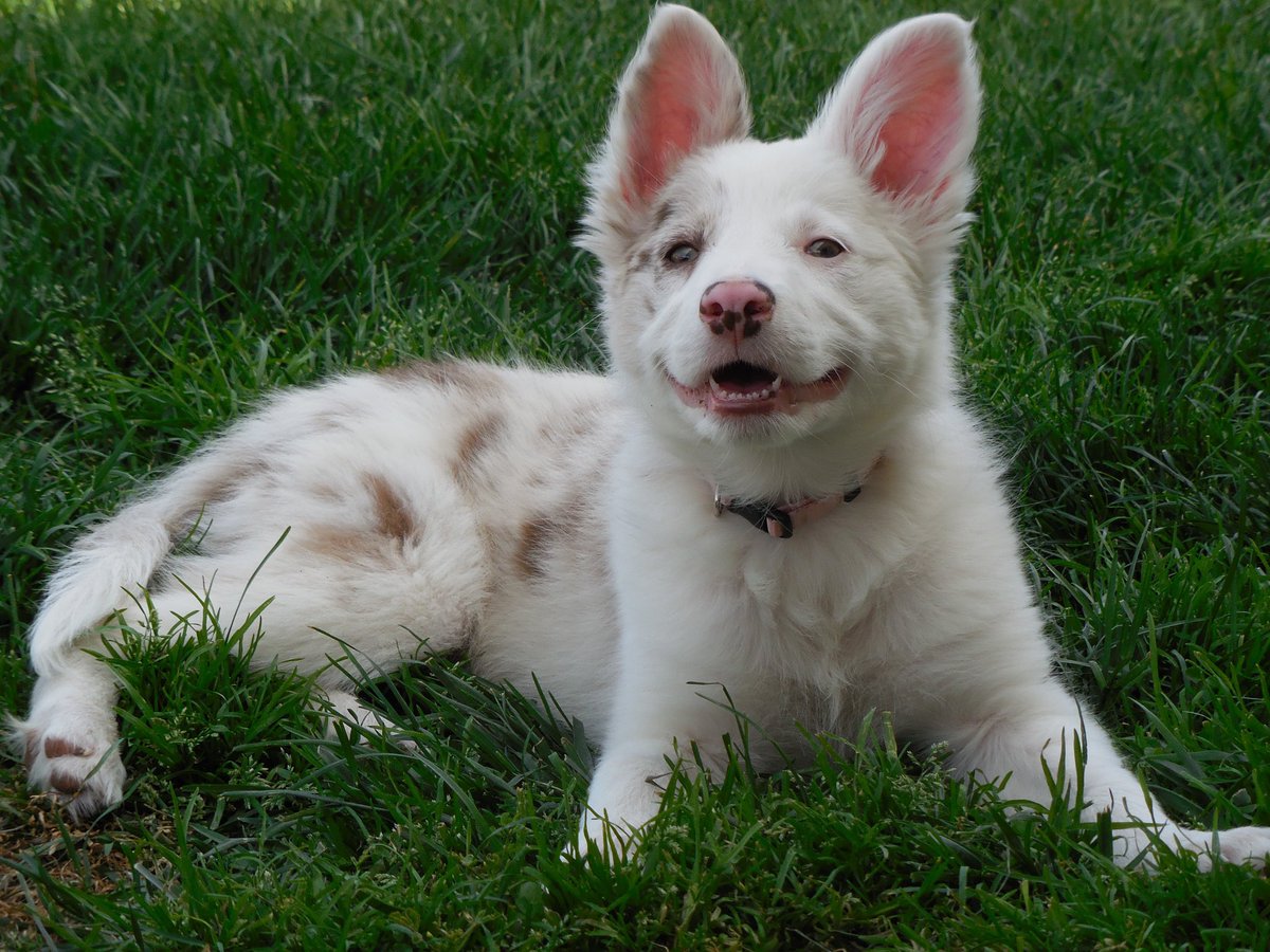 Willow and Emma tweet media