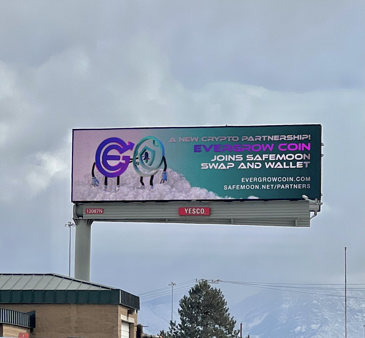 SafemoonWarrior's tweet photo. #SAFEMOON x #EverGrowCoin billboard 👀 https://t.co/9p8YSmnMQa