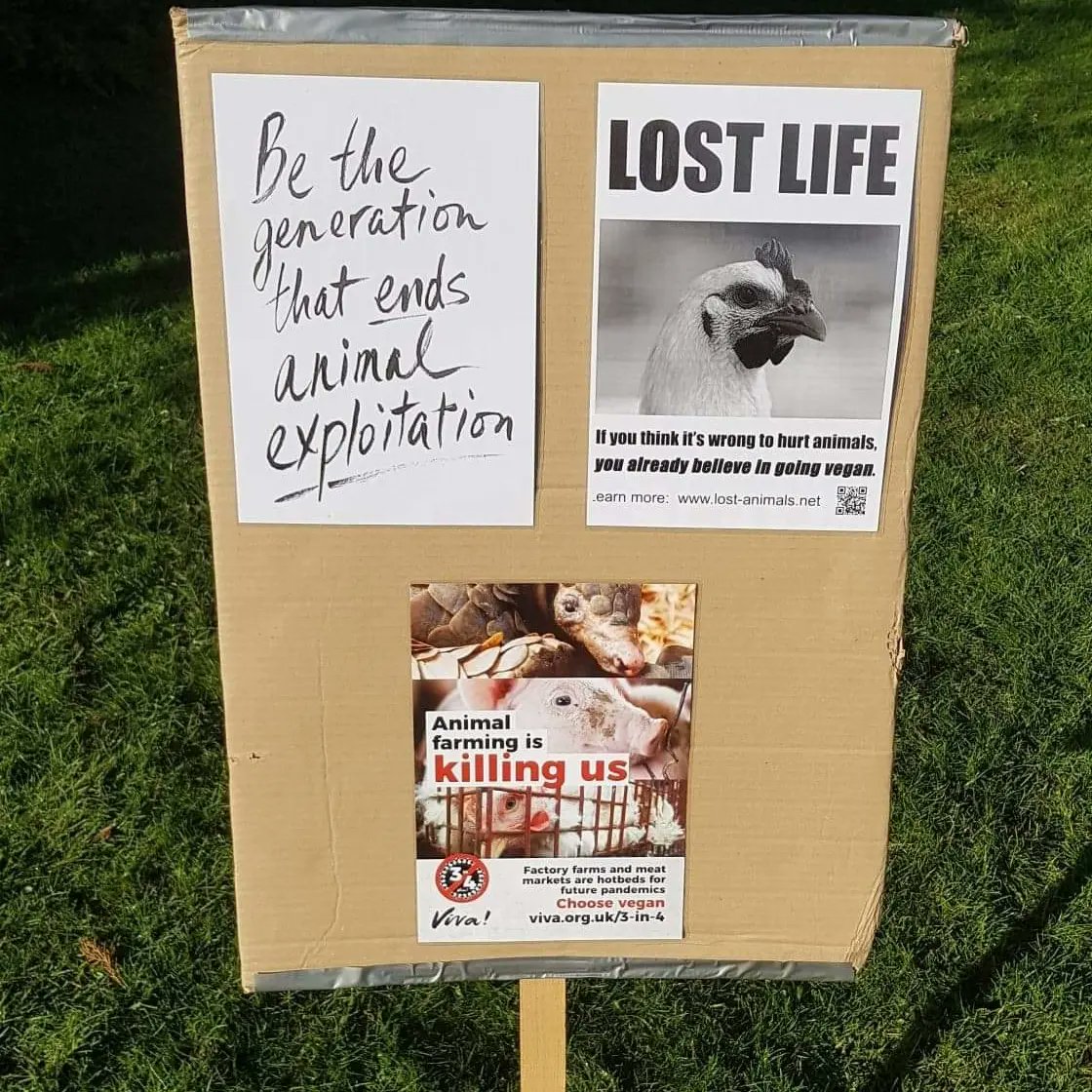 Lincolnshire Animal Save tweet media