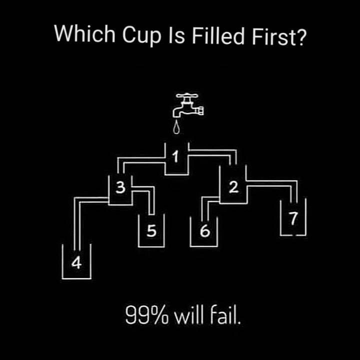 sache. (@sachetweet) on Twitter photo 