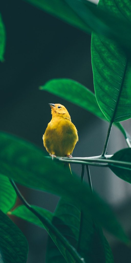 إن َّ المتَّقين َ في جنَّات ٍ ونَهَر ٍفي مقعَد ِ صدْق ٍ عنْد َ مَلِيك ٍٍ مُقتَدِر 

                                             صدق الله العظيم

اللهم رضاك وانت أرحم الراحميــــــــن