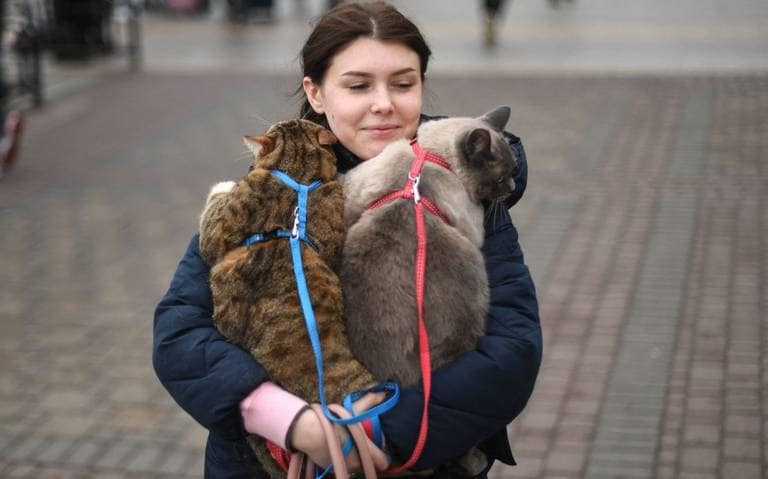 LiberaONG's tweet image. ¡NO A LA GUERRA! 

Los animales también son víctimas de los conflictos bélicos. Urge un plan de acción que les tenga en cuenta sin excepción alguna. 

#RussiaUkraine 
#UkraineUnderAttack