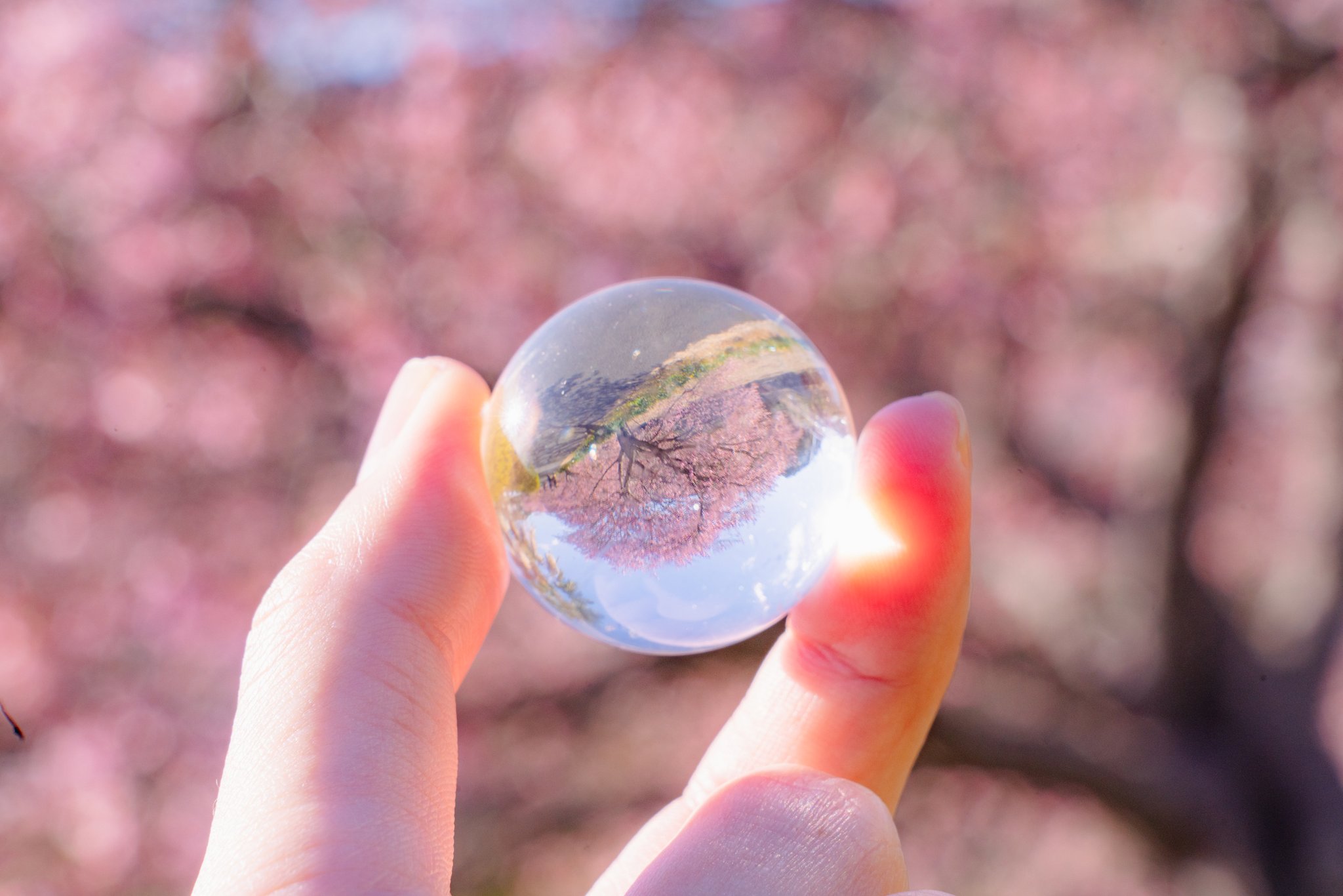 サドル 水晶と桜 T Co Qwfxozmrek Twitter