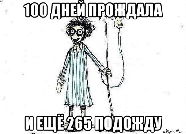 Кто не успел тот опоздал картинки. Мем малюсенький. Да я успел. Олень мем. Да я успел.