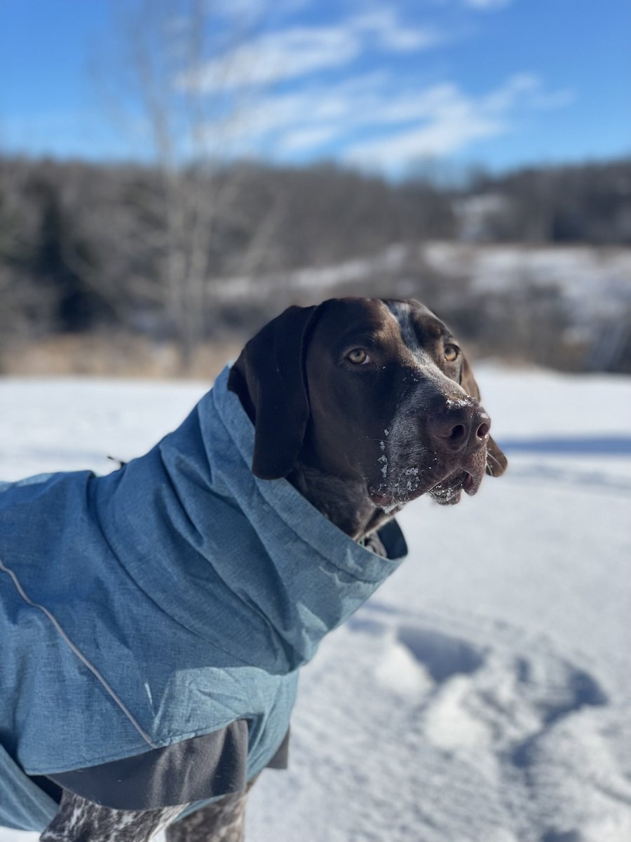 I don’t think I belong here! 😅😅 Everyone is pro photographers &amp; i suck  🤷‍♀️🤷‍♀️