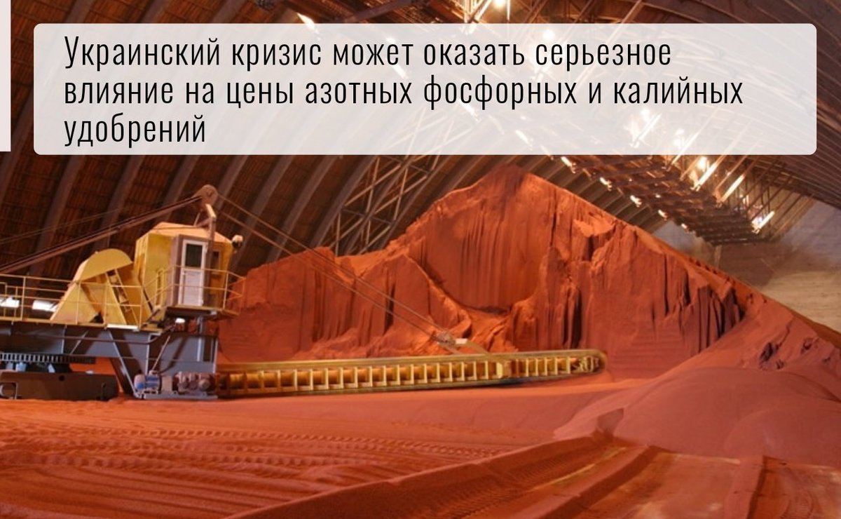 Серьезное влияние на цены азотных, фосфорных и калийных удобрений, особенно если из-за санкций приостановится экспорт.
Увеличатся сроки доставки, удлинятся пути объезда, стоимость морского фрахта и страхования.
#удобрения #украина