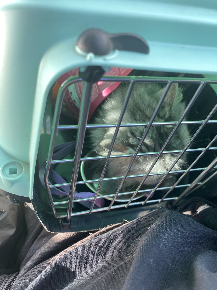 I don’t want to spam too much on twitter. Posting this for people who care. We got out from Kyiv, took our all important stuff with us even got my PC with monitor. Going closer to the borders to safer place. Grateful for all the support but please dont waste your time on me. Dw😊