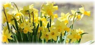 Our latest Newsletter: lwct.org.uk/en/news/ 
Printed copies at the Post Office in Llangammarch Wells, the Garage at Llanwrtyd Wells and the Trout Shop in Beulah ....... Happy reading!