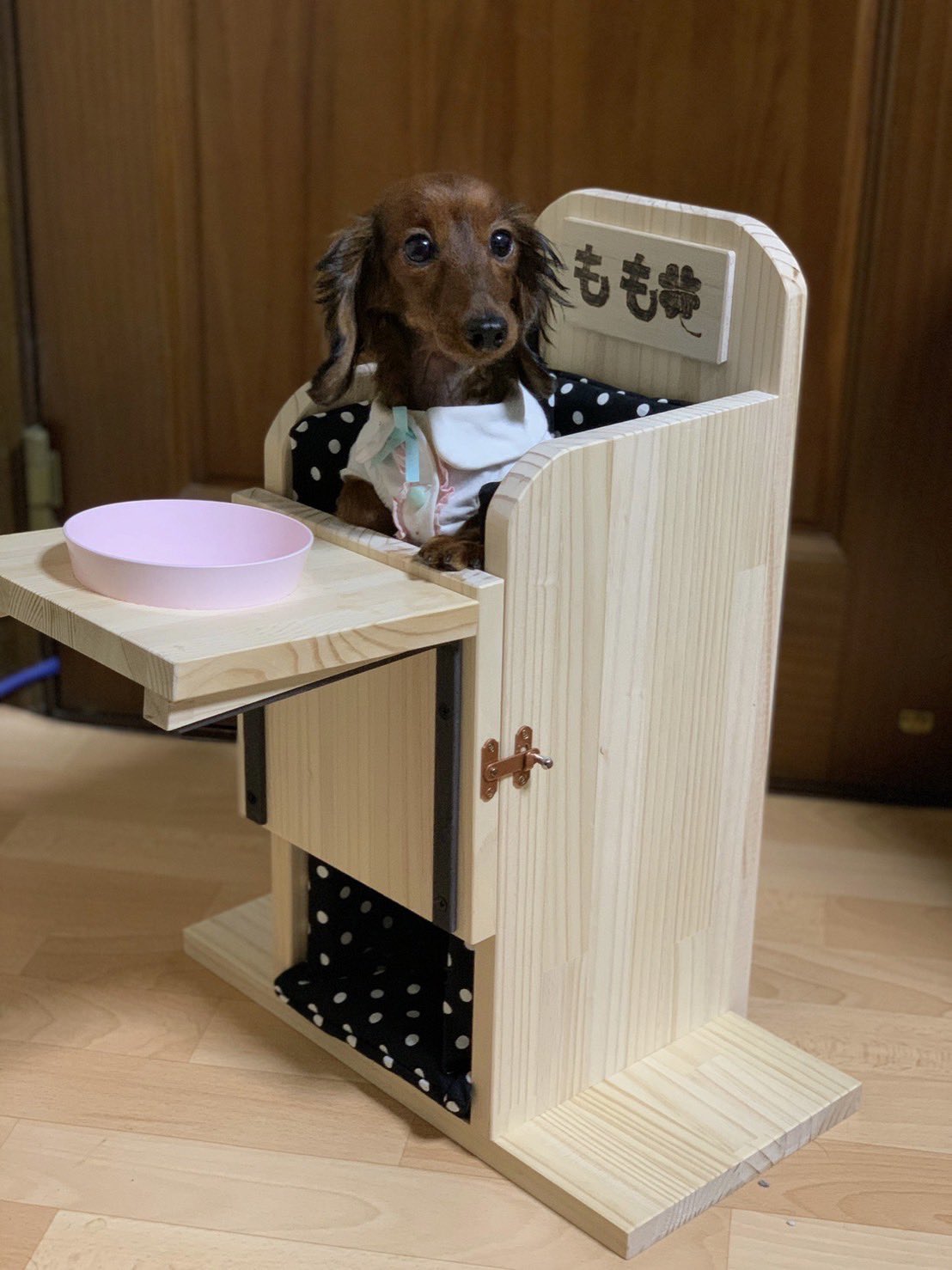 お礼や感謝伝えるプチギフト 小型 中型犬用ベイリーチェア 巨大食道病 犬用品 Catv Com Br