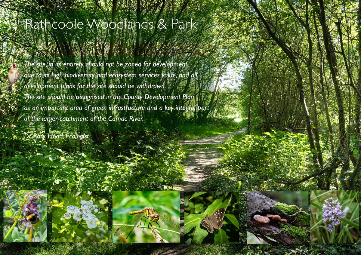 Four Districts Woodlands Group tweet media