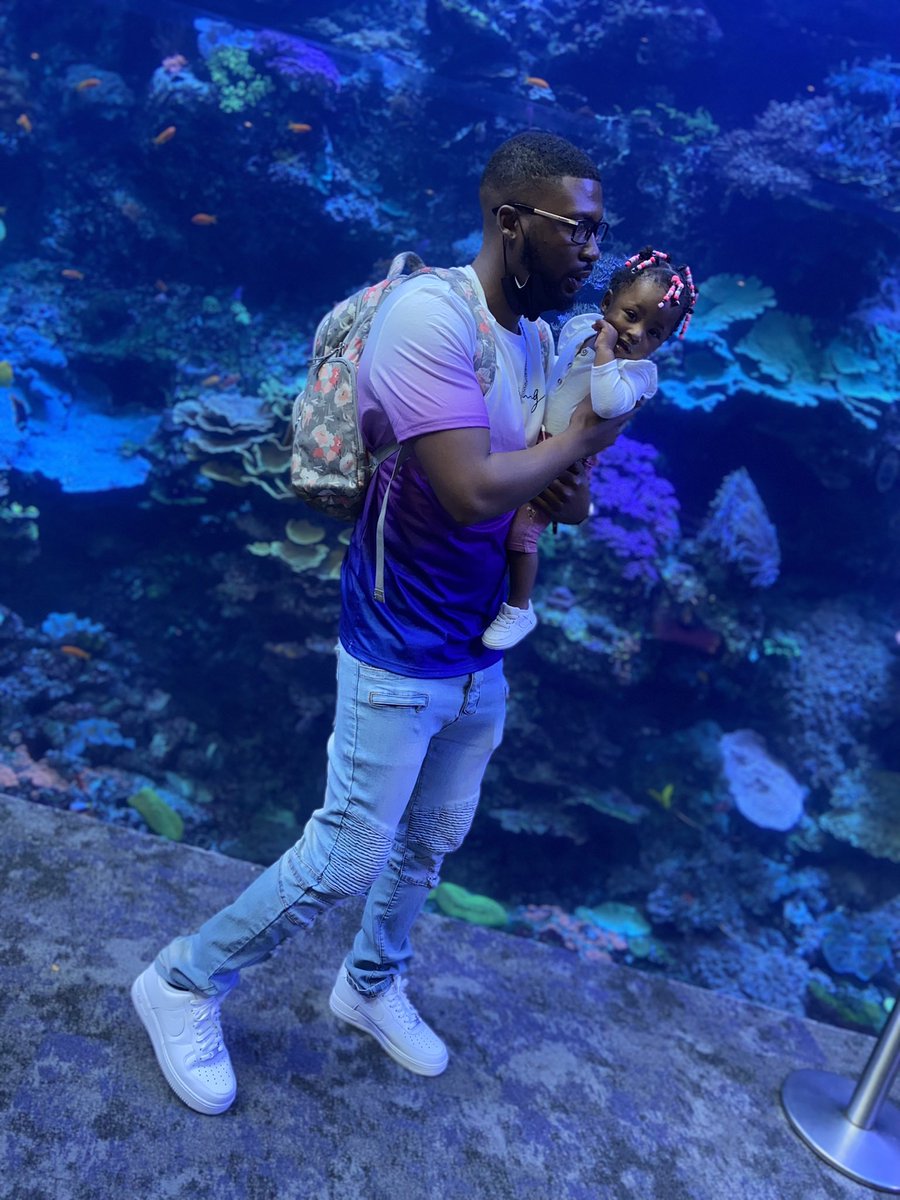 iambrlaw's tweet photo. Took Toot to See the Sea🐬💞 https://t.co/CDgPVYPGpv