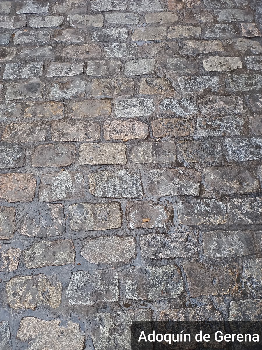 TomsGar46398518's tweet photo. Pavimentos históricos de Sevilla https://t.co/xQX6FReMh4 via @diariosevilla 
Mi publicación de hoy sobre pavimentos que aportan valores estéticos, comparándolos con otros de materiales más lábiles y menos bellos. La caliza Sierra Elvira y el granito rosa son buenas alternativas. https://t.co/VmJb9f2eGT