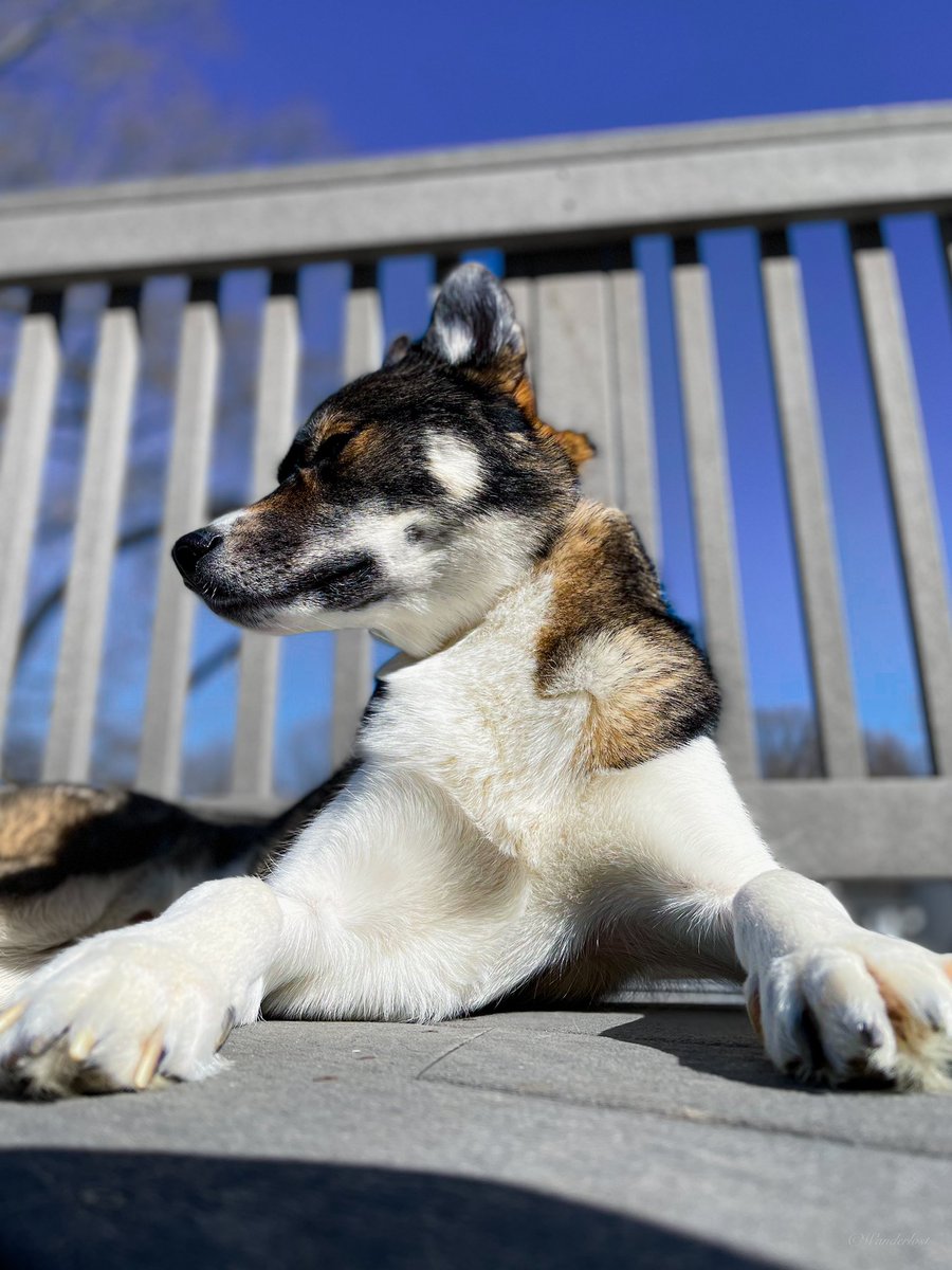 The Sibe + The Terv tweet media