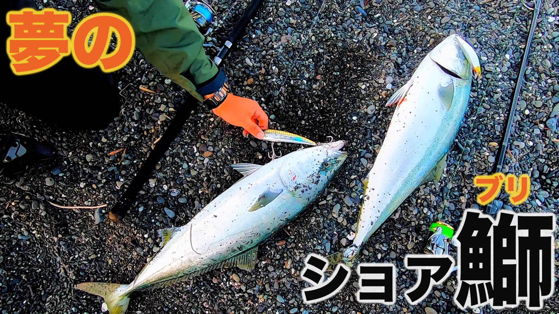 現場の杉浦です Youtubeアップしました 是非みてくださいね 釣りジャック さんとのコラボ動画です 釣り 釣りガール 釣りジャック ショアジギング ついにサーフの夢を取る 釣りジャックコラボ T Co Xbcbbjwypp T Co