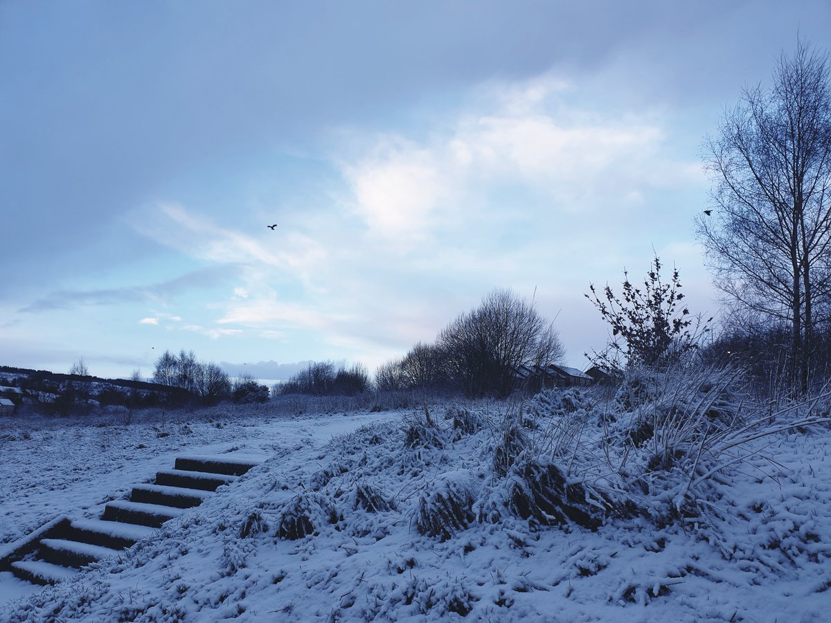 Obsidian_Ore's tweet photo. Crisp, chilly mornings in Paisley this week! 🥶 #snow #scottishweather #crispsnow https://t.co/uT3ivJZSq1