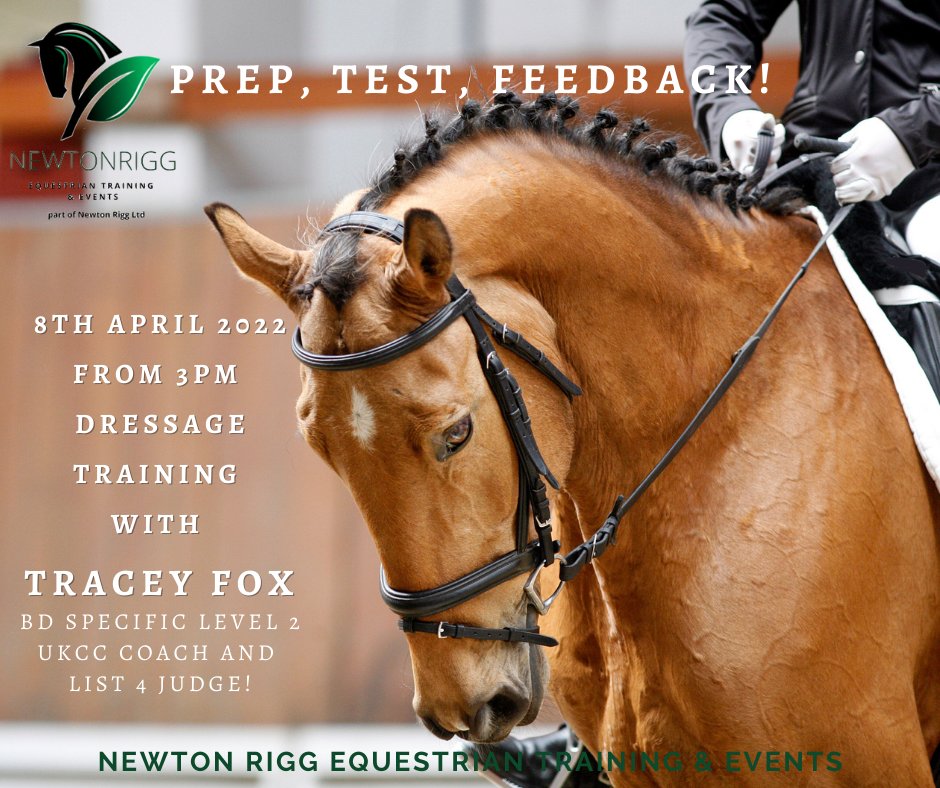 NewtonRigg's tweet photo. 8TH APRIL 2022, FROM 3PM
In preparation for our Unaffiliated #Dressage Series, we are running Test Riding Preparation &amp; Dressage Training Clinics, 'Prep, Test, &amp; Feedback' Sessions with Tracey Fox, BD specific level 2 UKCC coach and list 4 judge.
ONLY £25 PER HOUR SESSION https://t.co/UfV48iXuzl