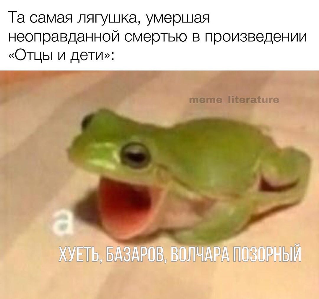 Литературные Мемы (@liter_memes) on Twitter photo 