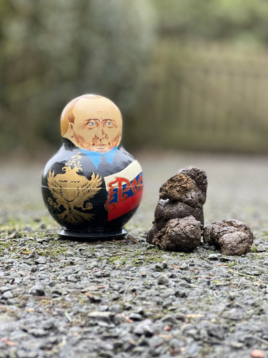 dread666's tweet image. Look who called in for breakfast. #Dogshiteater #Putin #Zelenski #Ukraine #RussiaUkraineWar #Russian