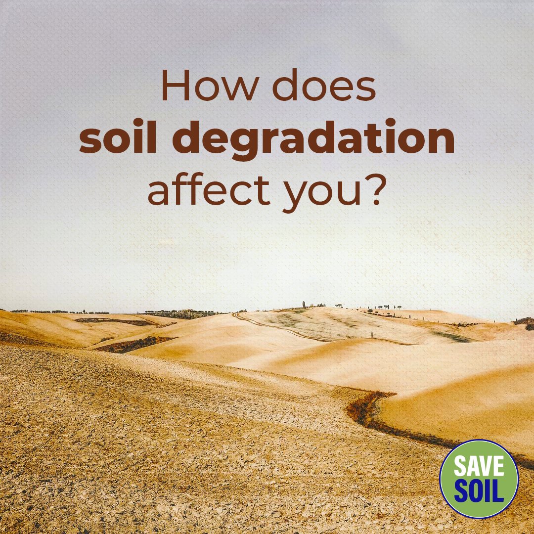 cpsavesoil's tweet photo. Soil degradation leaves our food empty of nutritional value, even if it fills your stomach, making our bodies weaker and more susceptible to diseases. Read more on the subject at https://t.co/jm71zQ5yXq 
#SaveSoil #ConsciousPlanet https://t.co/AIGOwSTLNb