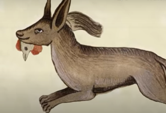 This weekend is #FoxFest at the Weston Library - a family-friendly celebration of forest trickster Reynard the Fox. The performances are fully booked but just drop in for a range of fabulous foxy activities! 
#Families #Weekend