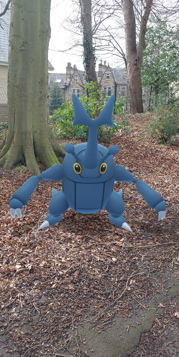 drolbor's tweet photo. #PokemonGOTourContest #Pokemon #pokemokegotour https://t.co/hQPxrmMLKt
