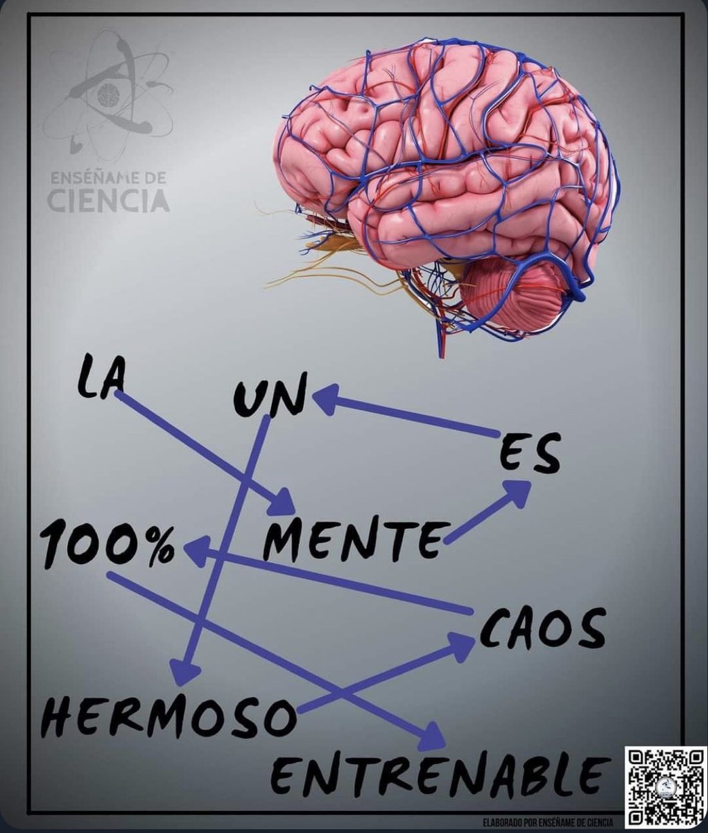 DaniaRoberta's tweet photo. “La mente es un hermoso caos 100% entrenable”.                                                        
Via @EnsedeCiencia https://t.co/tHbnsQMoOt
