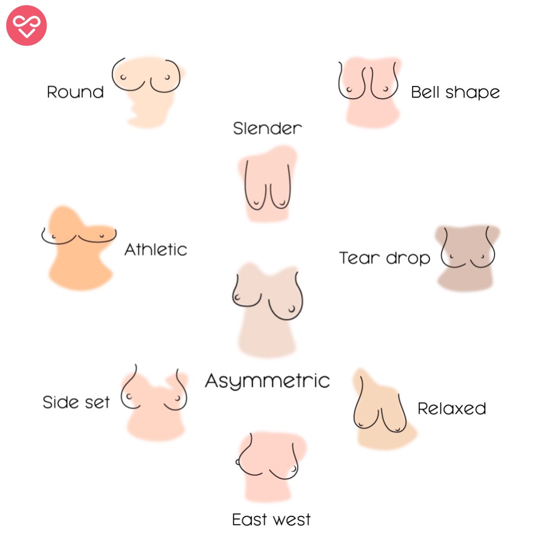 Shyaway on X: Whether you are blessed with a round or teardrop, love your  unique shape because every breast shape is unique & perfect. #breasts  #bustshape #busts #size #breastshape #brasize #woman #asymmetric #