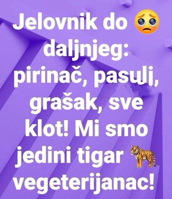 FMh_9KOWQAgVM5Z?format=jpg&name=small