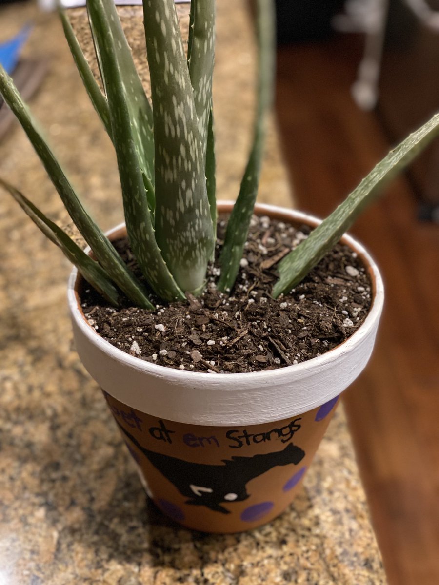 virdells's tweet image. Big shout out to the ⁦@MFISDCTE⁩ students who put these aloe plants and pots together for the MFISD Board of Trustees!  Your hard work is greatly appreciated and we are all so proud of you.  All of your accomplishments make ⁦@MarbleFallsISD⁩ who we are.