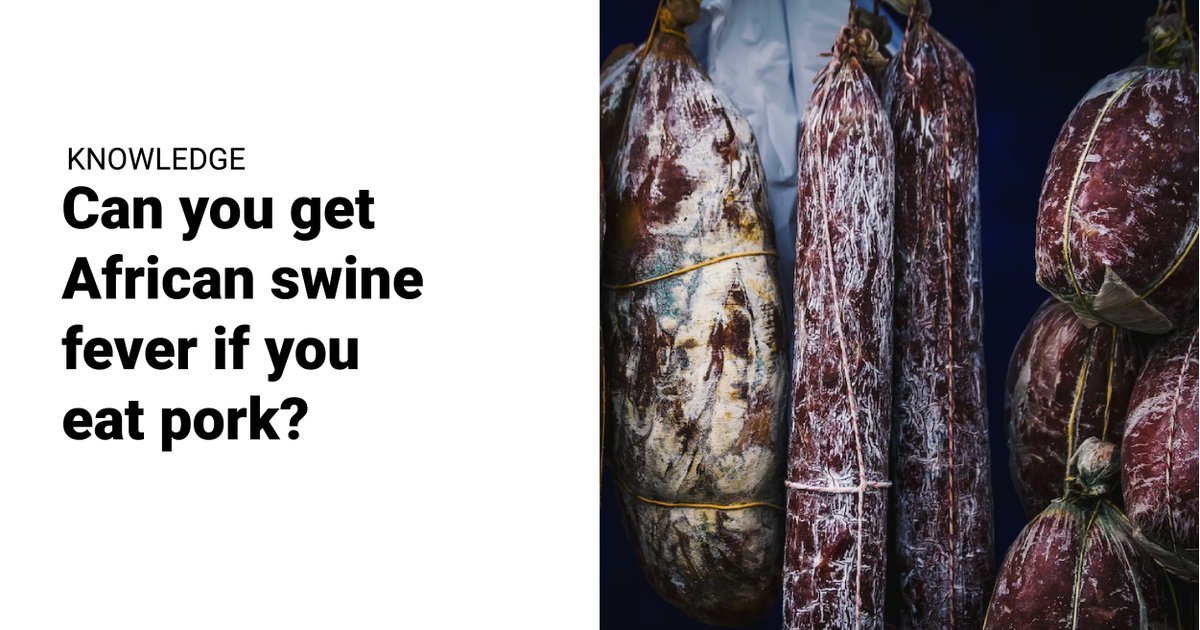Can you get #AfricanSwineFever 🦠 if you eat pork products?

The answer is: NO, eating #pork won’t make you sick with #ASF. The virus is fatal in #pigs, so it’s best not to carry pork products if you travel to protect them. #ASFStoptheSpread

LEARN MORE 👉 oie.int/en/disease/afr…