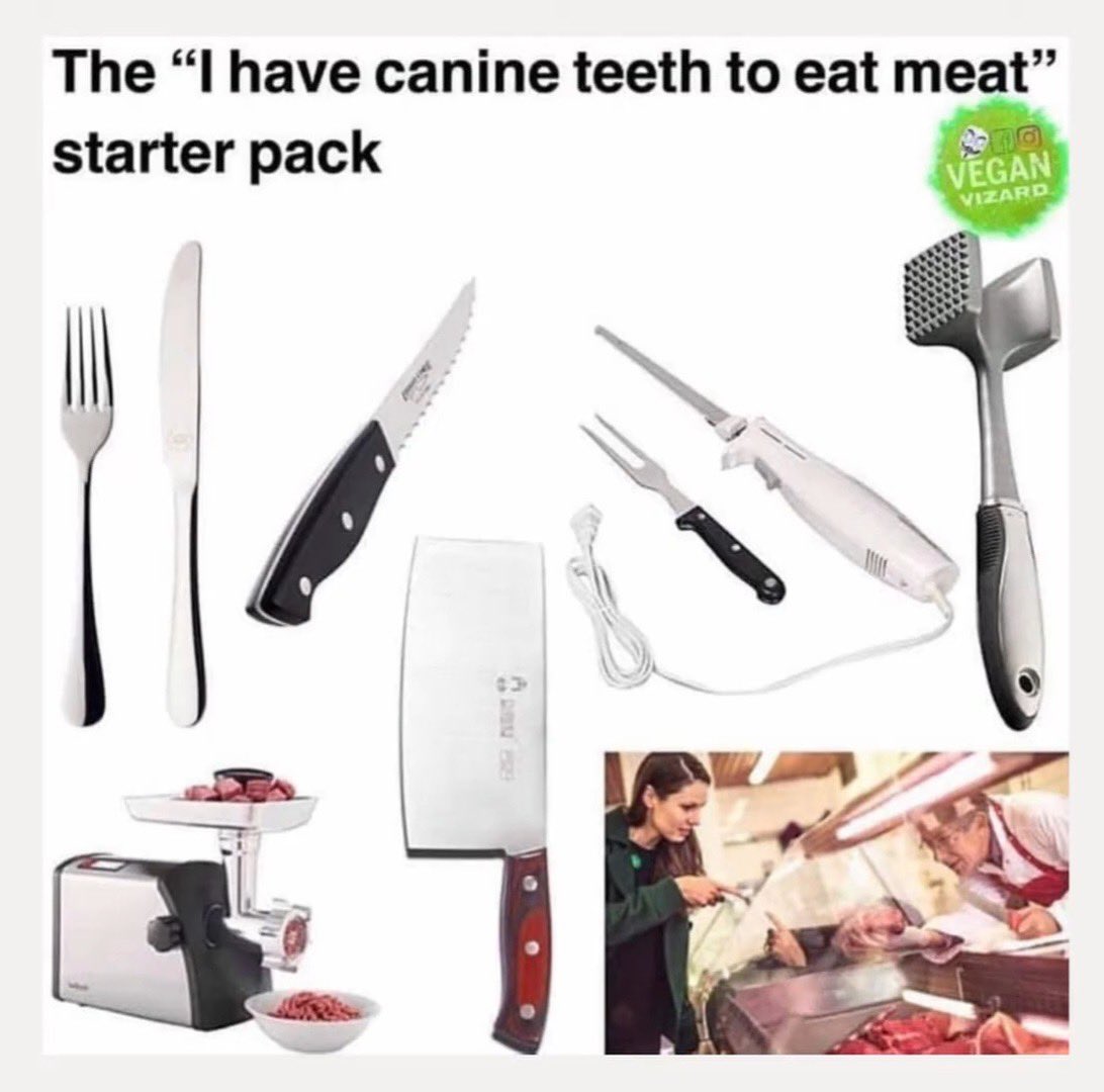 1ofthosevegans's tweet photo. Top of the food chain predator needs to cook &amp; grind up their natural food before being able to chew it &amp; somehow thinks it’s all possible due to the pathetic flat canine teeth!
Don’t be ridiculous, #GoVegan https://t.co/CDjC0iyRFh