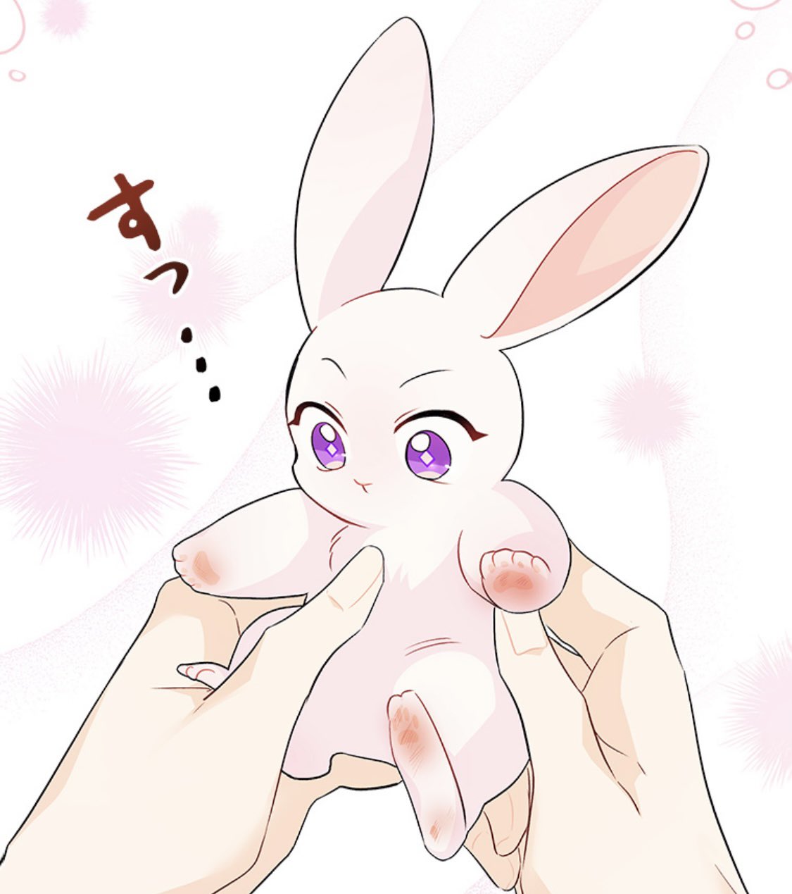 ウサギと黒ヒョウ様の共生関係（2） 韓国語 まんが『ウサギと黒ヒョウ様の共生関係 2』著：サダム