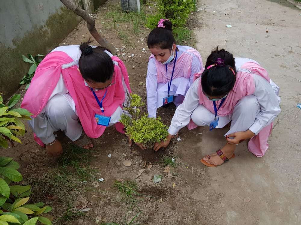 VocationalF's tweet photo. Plantation activity 2022 by vti f trainees . https://t.co/vK8vjQPxi4