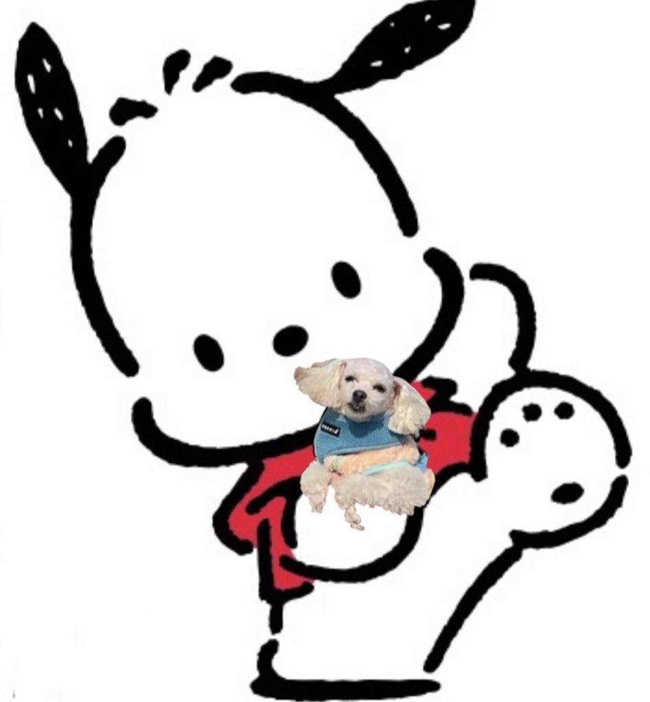 hoonchacco tweet media
