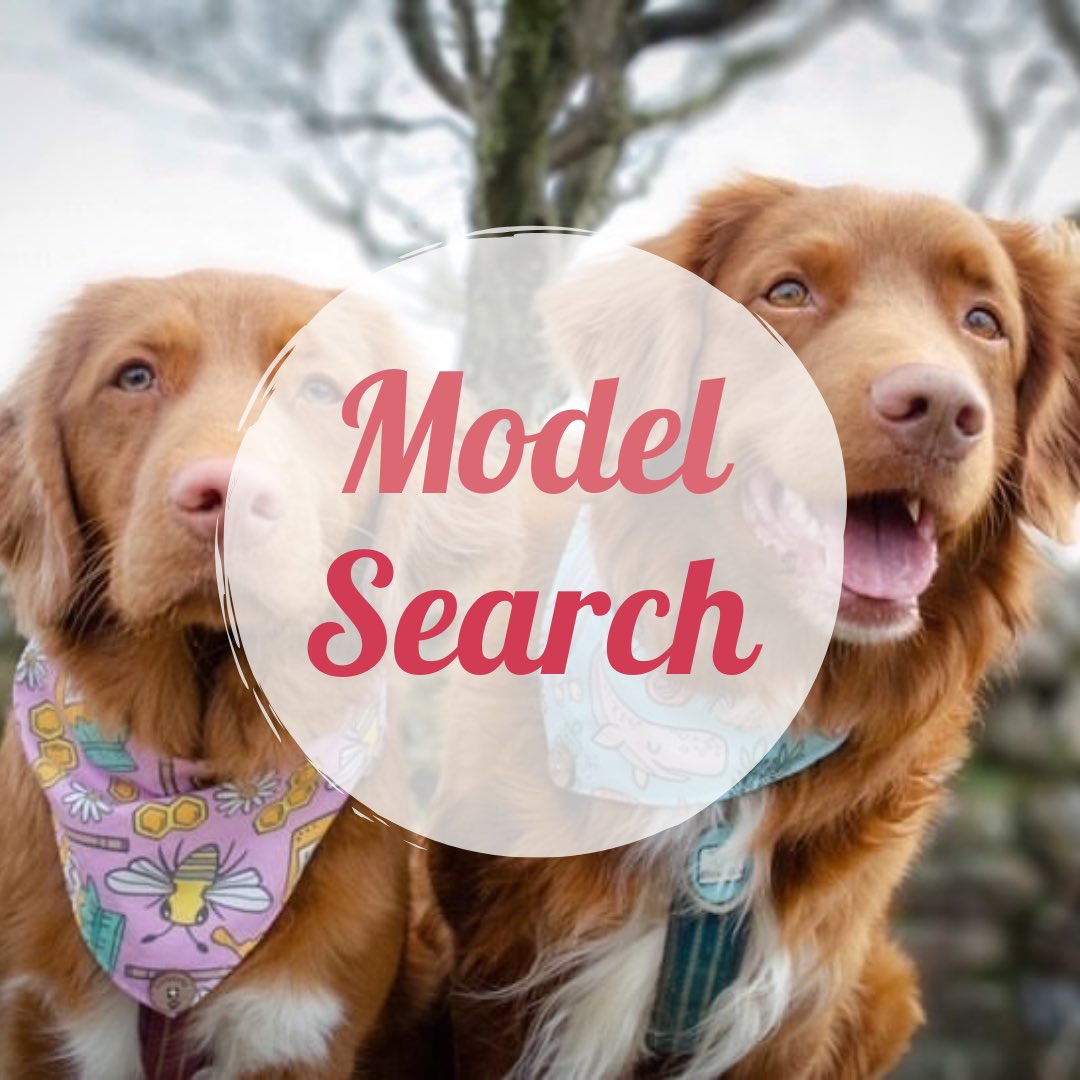 HotDigityDogUK tweet media